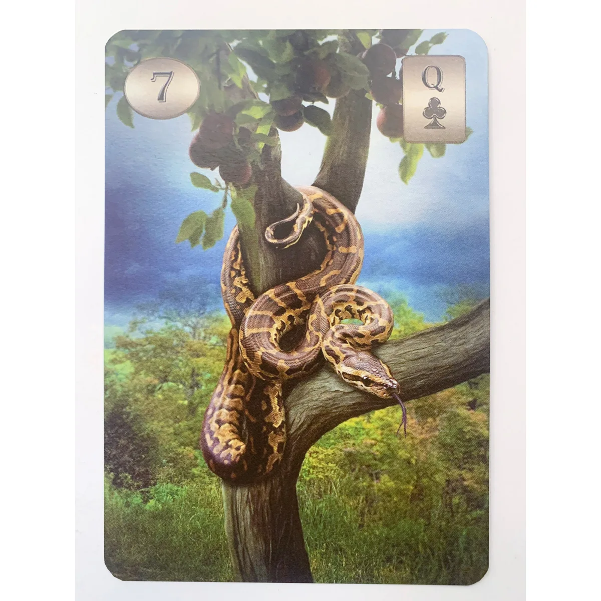 Карти Таро THELEMA Lenormand. ТЕЛЕМА Ленорман. Оракул Ленорман у традиції Алістера Кроулі — фото 9